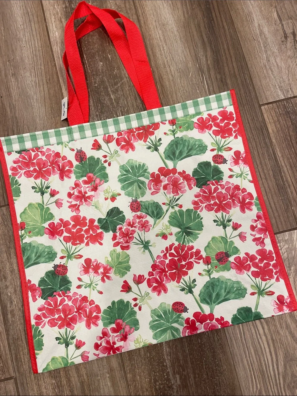 Marshalls 🐞Ladybug 🐞Floral Tote with Red Trim and Green Leaves